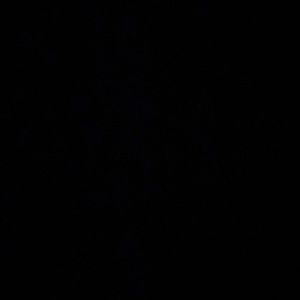 Meet your Posher, Nicholas